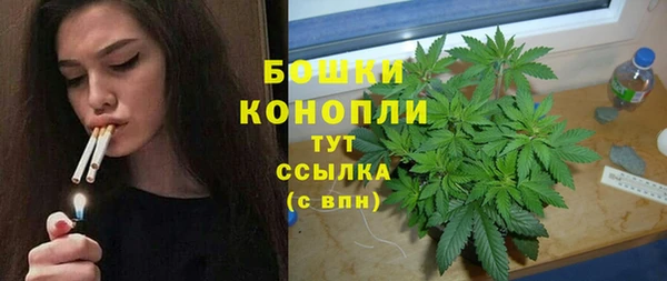 прущие грибы Краснотурьинск