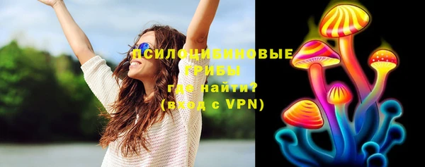 прущие грибы Краснотурьинск