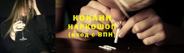 прущие грибы Краснотурьинск