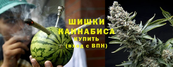 стаф Новосибирск