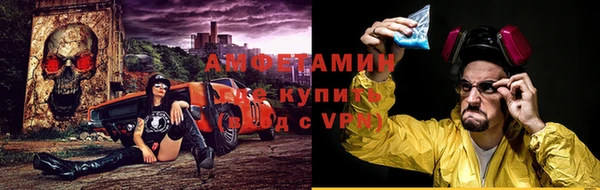 прущие грибы Краснотурьинск