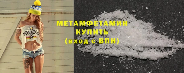 прущие грибы Краснотурьинск