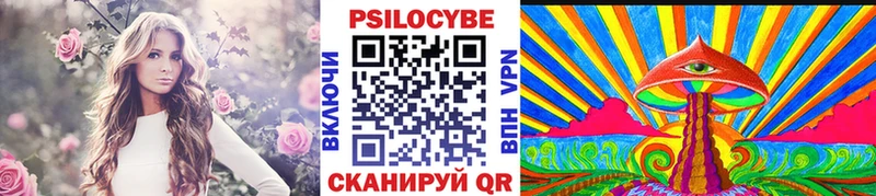 где продают наркотики  Ярославль  Галлюциногенные грибы Psilocybe 